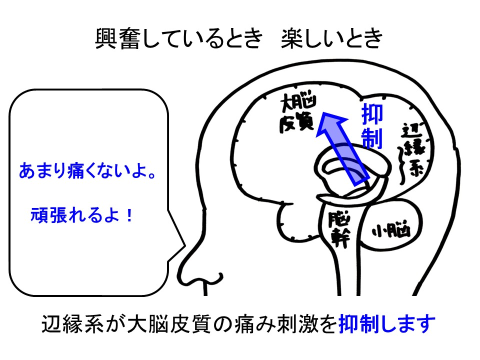 新年のご挨拶 怖いよツライよ痛いよ な方へ 院長のささやき プライムホスピタル玉島